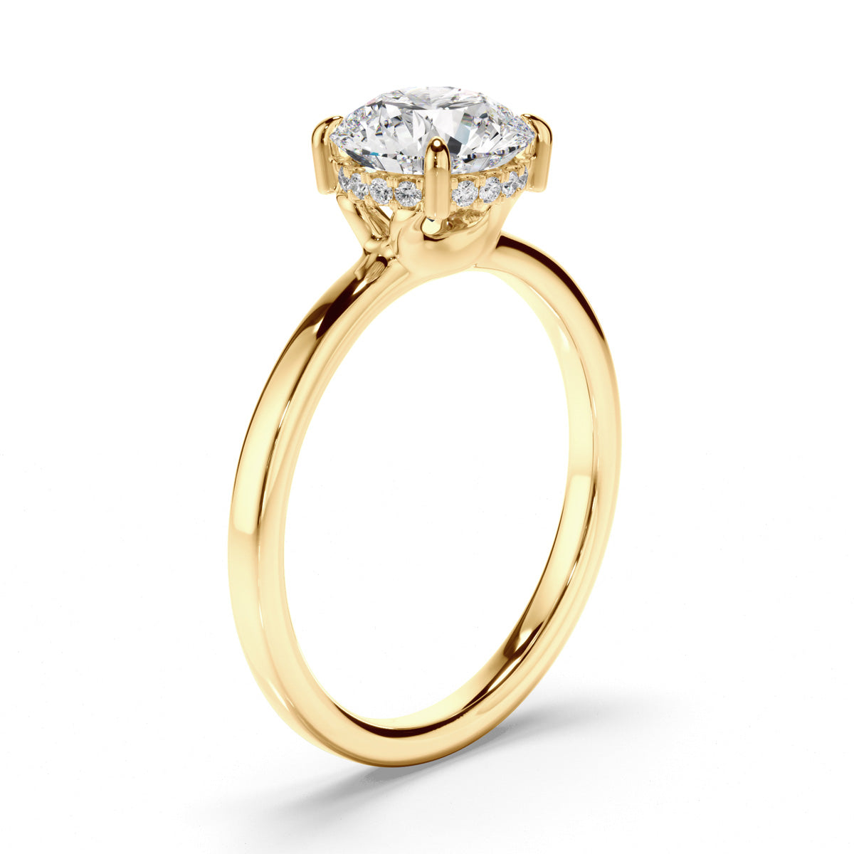 Round Brilliant Cut Diamond Hidden Halo Engagement Ring